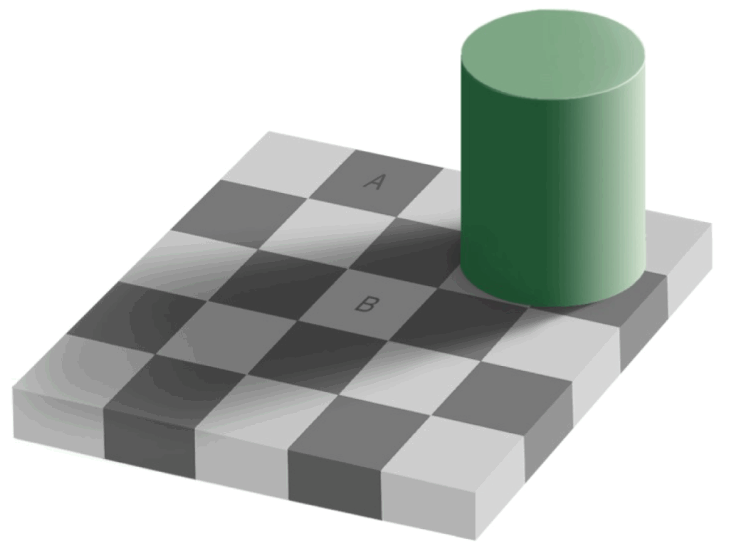 Checkershadow Illusion Wahrnehmung Täuschung Bias